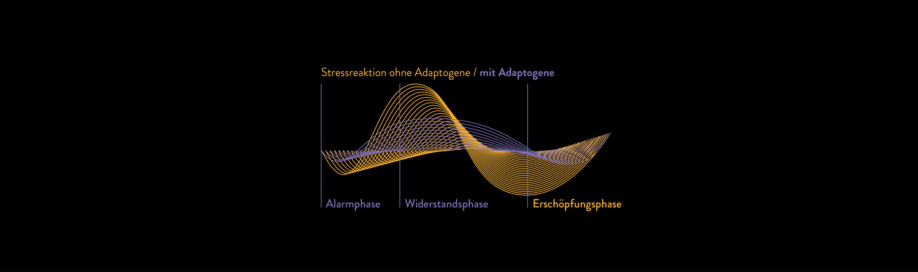 comparison of stress reaction with and without adaptogens