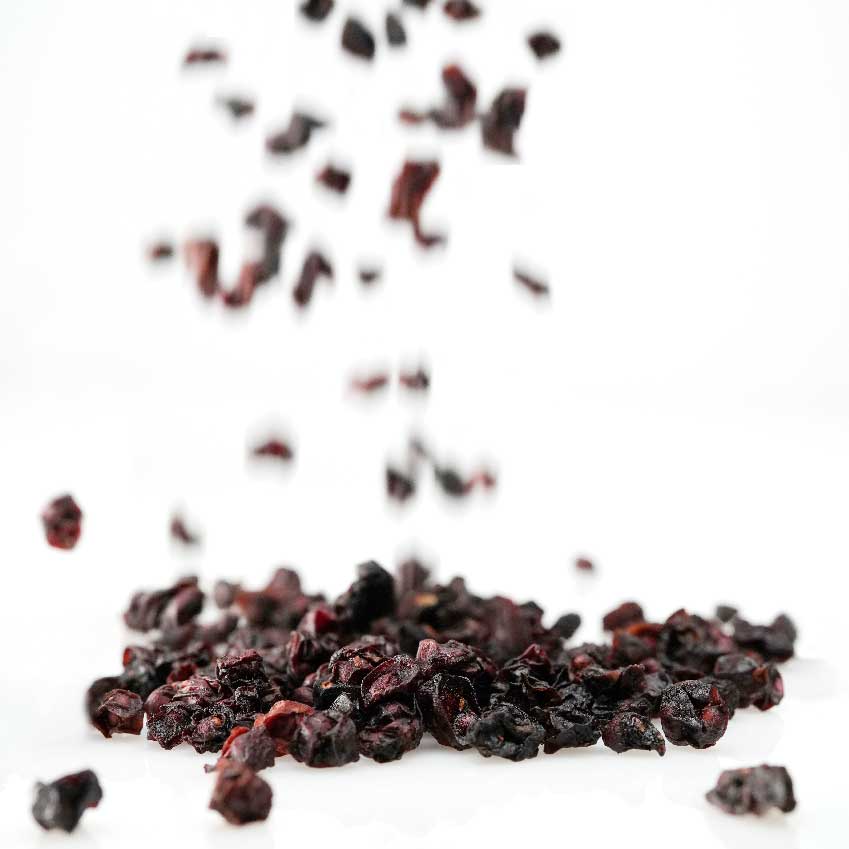 schisandra berries